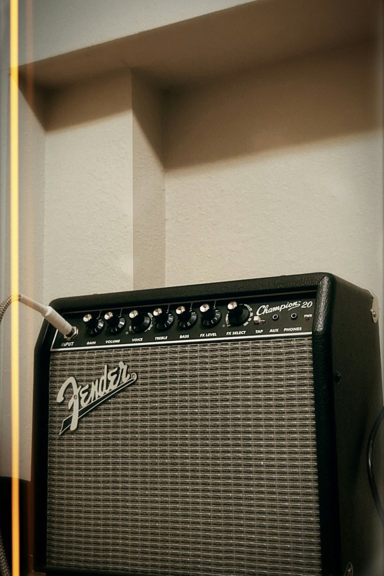 In-Wall Delights: The Art of Hidden Audio